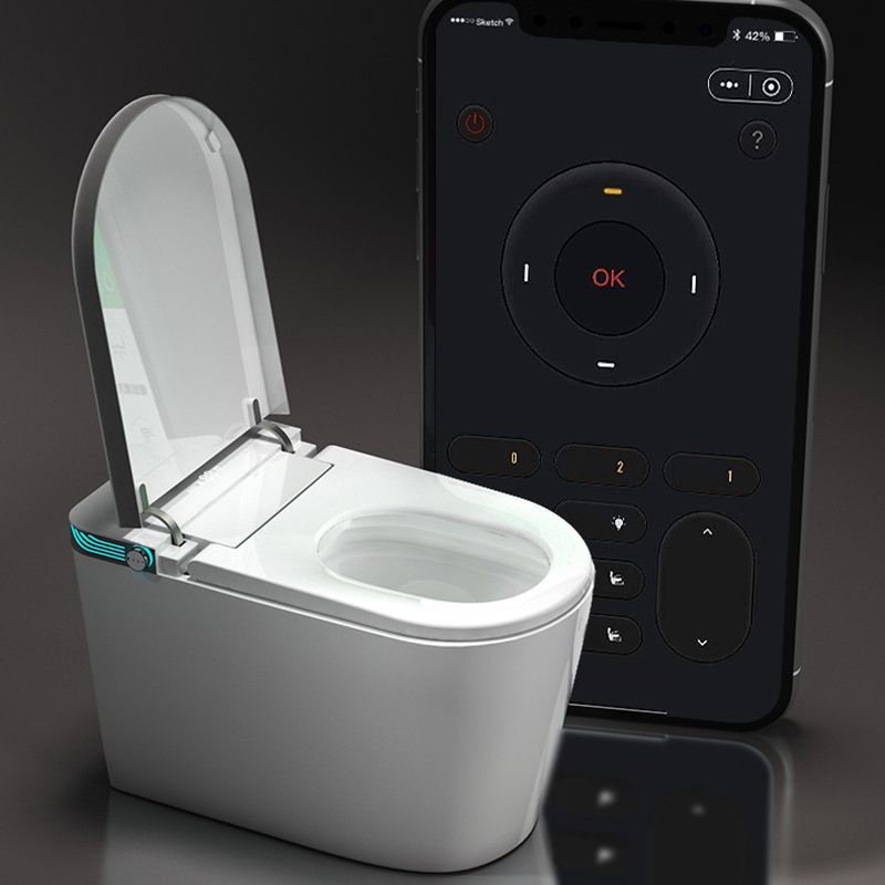 Contemporary Siphon Jet Toilet Bowl Polished Finish All-In-One Toilet