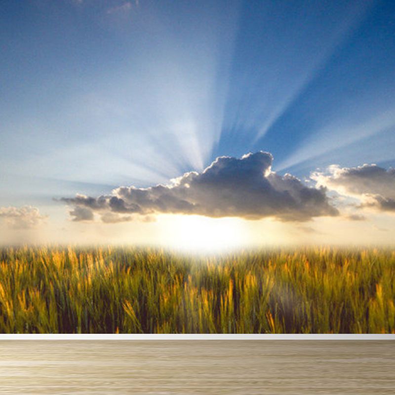 Stain-Proofing Sky View Wall Mural Non-Woven Cloth Contemporary Wall Art for Living Room