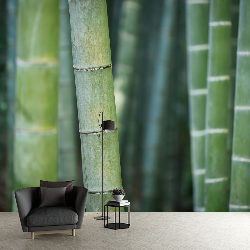 Bamboo Plant Mural for Home Decor Customized Wall Covering, Made to Measure