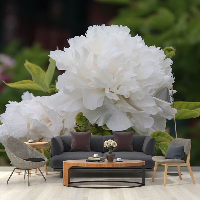 Peony Murals Contemporary Washable Girls' Bedroom Wall Decor, Personalized Size Available