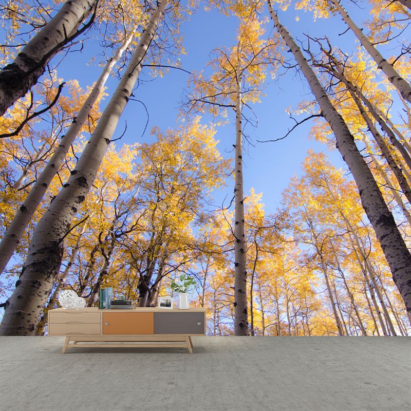 Forest Scenery Wall Mural for Living Room Bedroom Decoration, Made to Measure