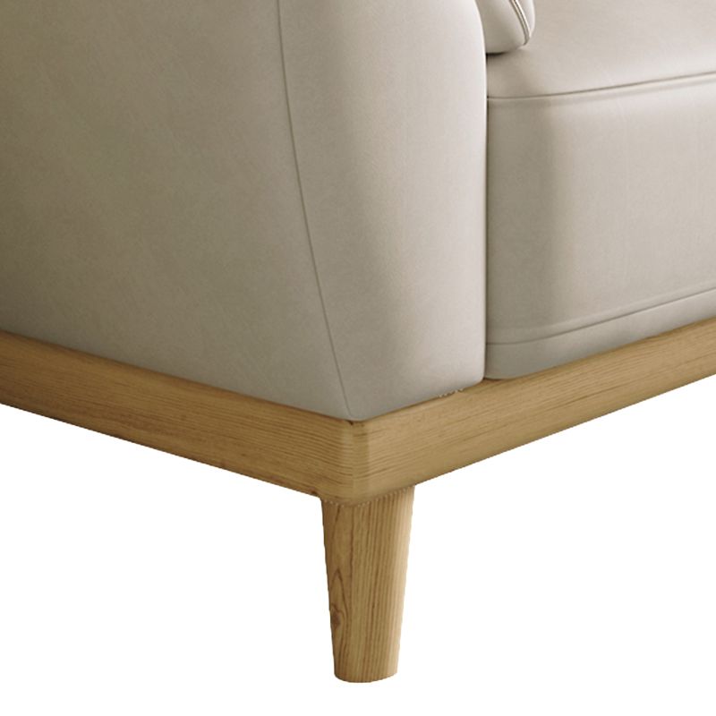 Stationary Stain Resistant Living Room Pillow Top Arm Standard Sofa