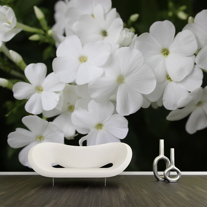 Customized Phlox Flower Wall Mural Horizontal Photography for Sleeping Room