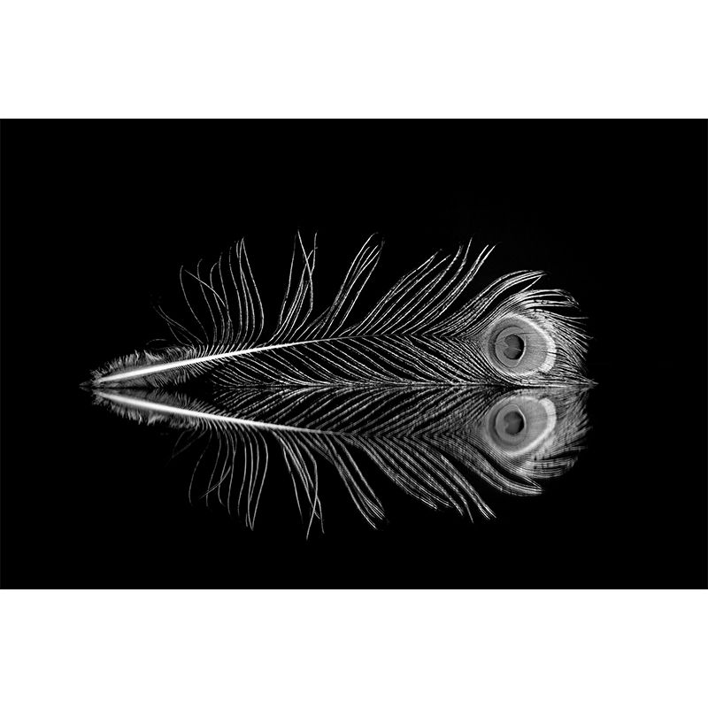 Light Feather Mural Stain Resistant Contemporary Bedroom Wall Decor, Waterproofing