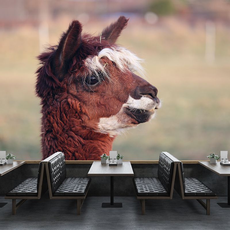 Alpaca Portrait Mural Wallpaper Contemporary Style Wall Covering for Living Room