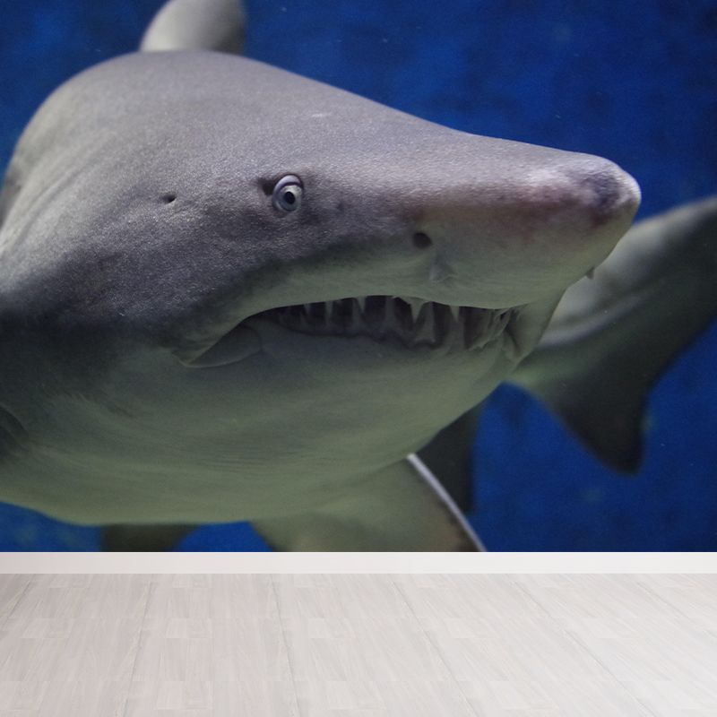 Photography Ferocious shark Mural Wallpaper Contemporary Wall Covering for Home Decoration
