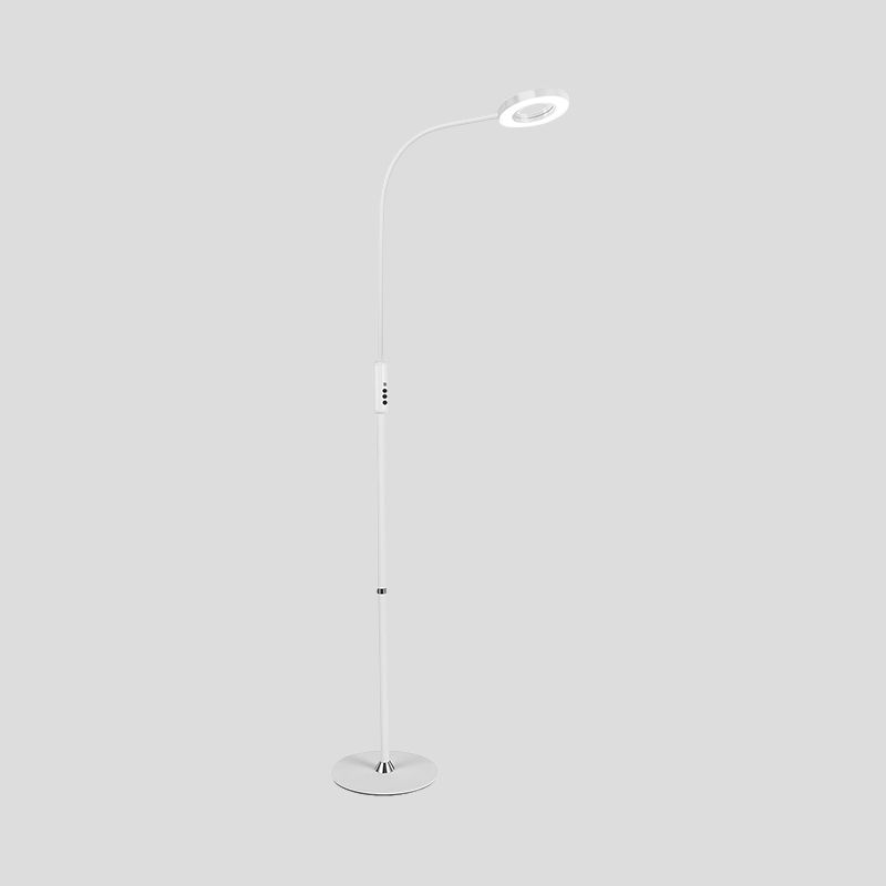 Metal Loop Floor Standing Lamp Modernist White/Black Curved LED Floor Light for Living Room