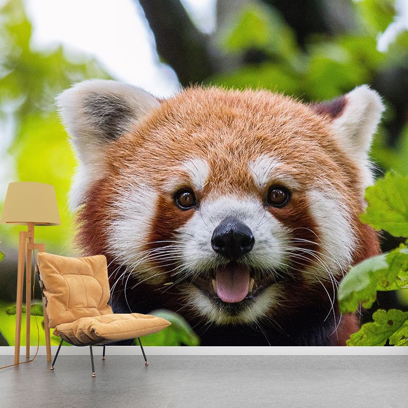 Modern Style Red-Panda Mural Wall Decor Mildew Resistant Living Room Wall Mural Wall Art