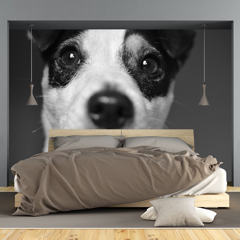 Horizontal Photography Lovely Dog Mural Stain Resistant Wall Art for Living Room