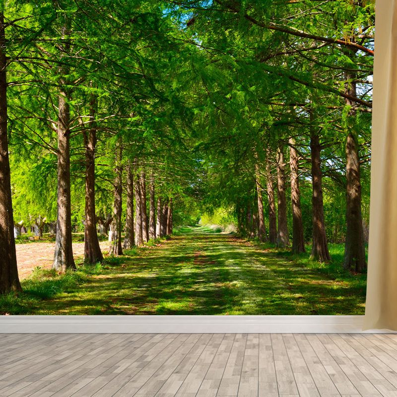 Contemporary Cypress-Trees Landscape Home Mural Mildew Resistant Wall Decor for Bedroom