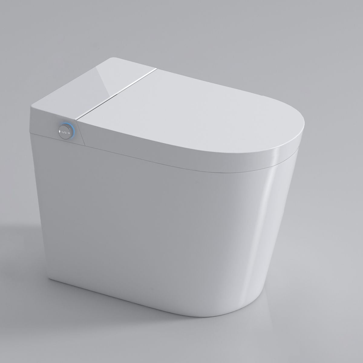 Contemporary Elongated Floor Mount Bidet White Smart Bidet with Bidet And Seat