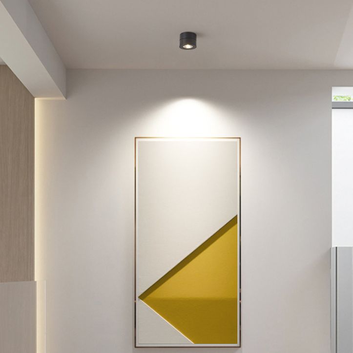 Modern Creative LED Rotatable Ceiling Light Aluminium Cylindrical Flush Mount with Clear Glass Shade