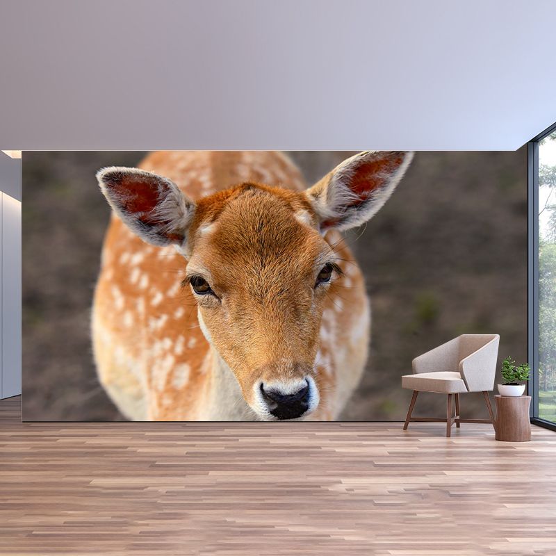 Deer Wall Decal Stain Resistant Mural Wallpaper Contemporary Bedroom Wall Covering