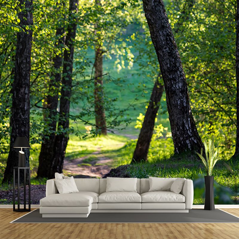 Forest View Mural Decal Modern Water Resistant Bedroom Wall Decor, Made to Measure