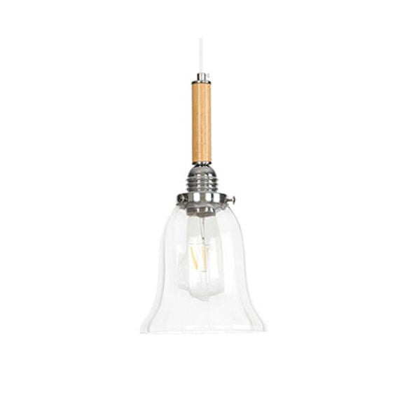 Globe/Cone/Small Bell Pendant Lighting Vintage Clear Glass 1 Licht Roségoud/Chrome hangende lamp met verstelbaar koord