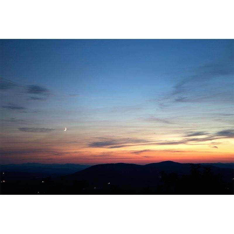 Beautiful Sky Mural Decal Customized Contemporary Wall Covering for Bedroom