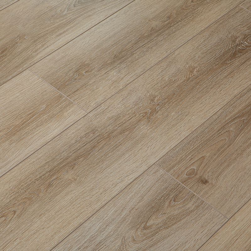 Modern Simple Laminate Floor Solid Wood Laminate Floor with Scratch Resistant