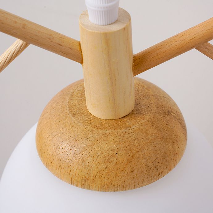 Globe Glass Hanging Lamp in moderne eenvoud houten hanglamp voor eetkamer