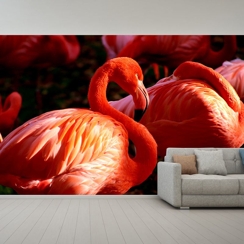 Flamingo Wall Mural for Sitting Room Water Resistant Wall Decor, Made to Measure