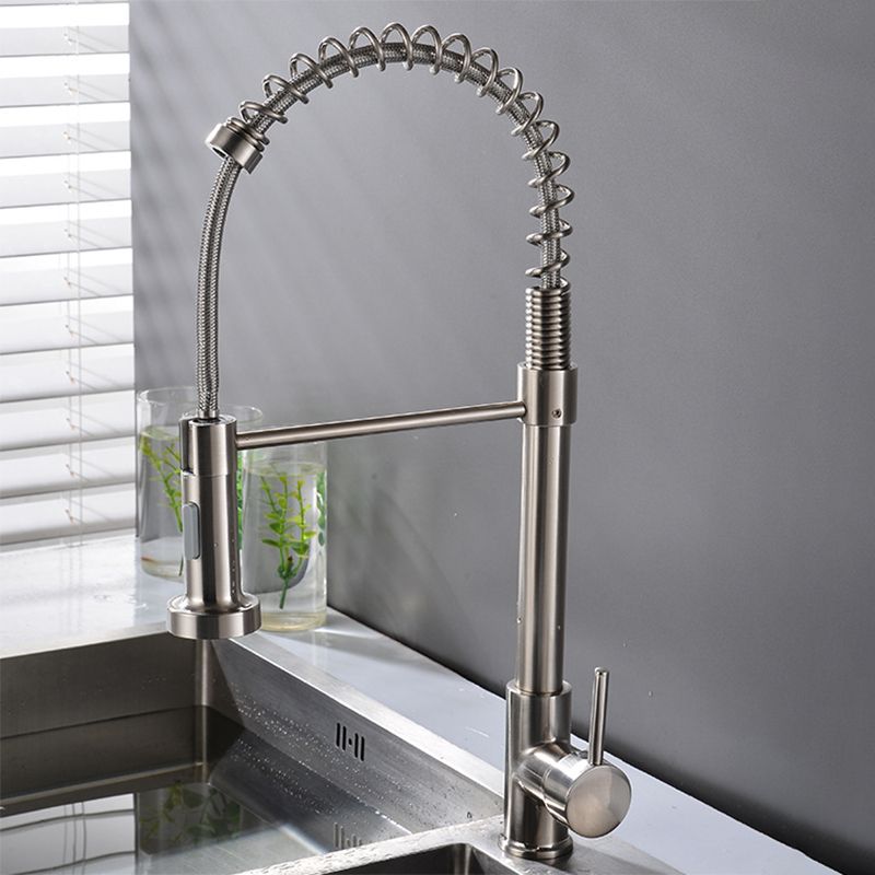 Modern Spring Spout Faucets 1-Handle with Water Dispenser Standard Kitchen Faucets