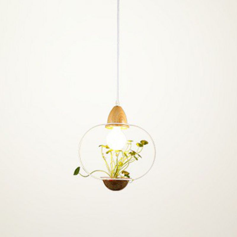 1 Pot à tête Pot de plante suspendue Pendentif Industriel Style Metal Pendule Light pour salle à manger