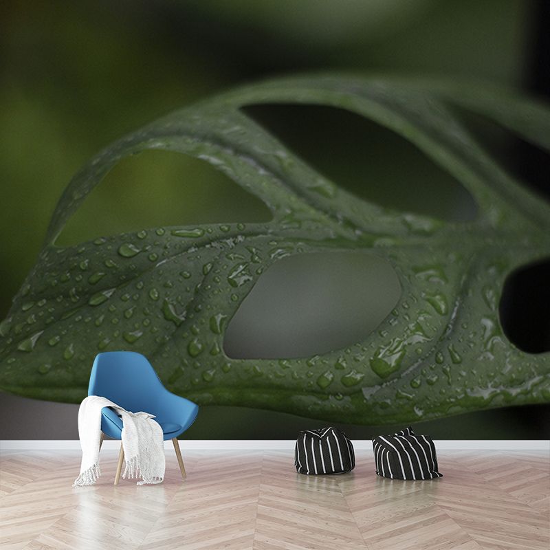 Tropical Monstera Home Decor Modern Sleeping Room Wall Decoration Wallpaper