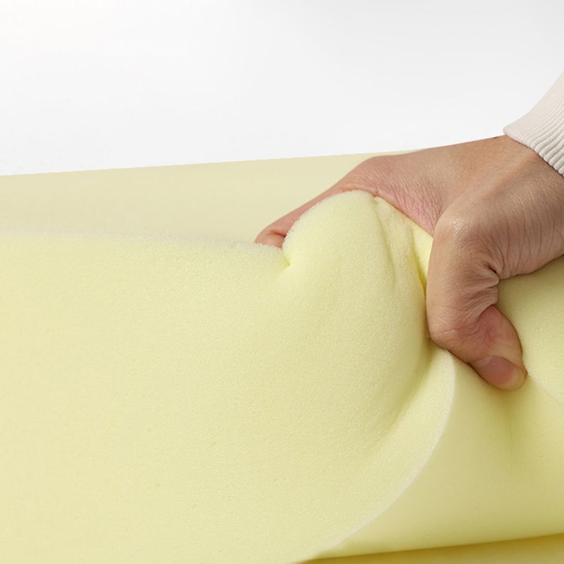 Modern Tear Resistant Standard Solid Color Leather Indoor Standard