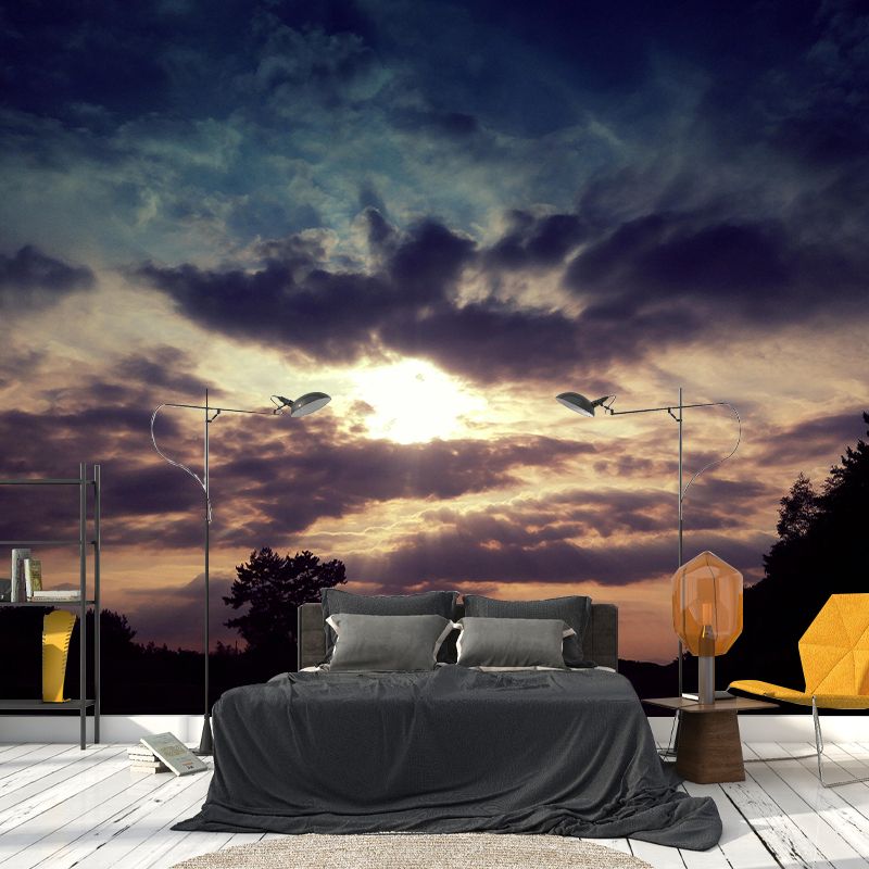 Contemporary Style Cloudscape Mural Mildew Resistant Wall Covering for Room Decor