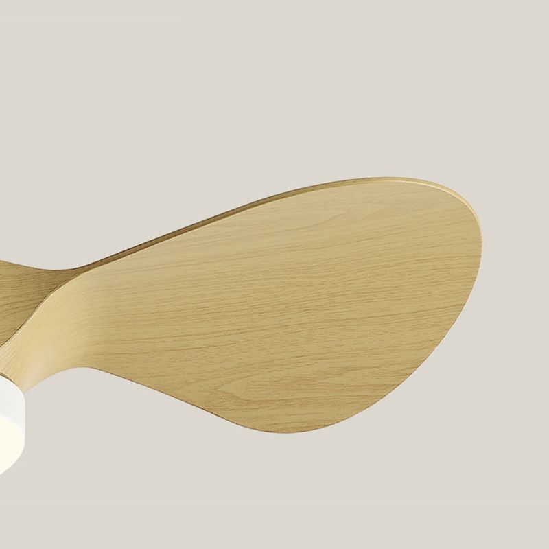 Fan Shape Metal Ceiling Fans Kid Style Single Light Ceiling Mount Fan Fixture