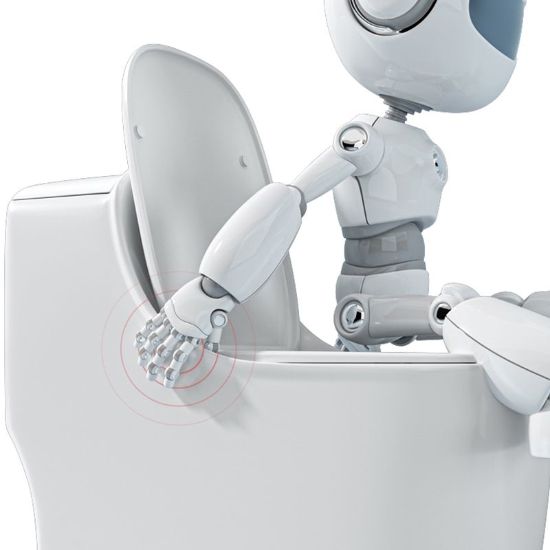 Traditional Floor Mount Toilet Slow Close Seat Included Toilet Bowl for Bathroom