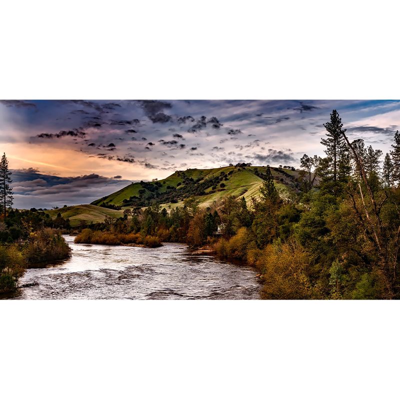 Photography Pattern Mildew Wall Mural Landscapes Horizontalt for Living Room