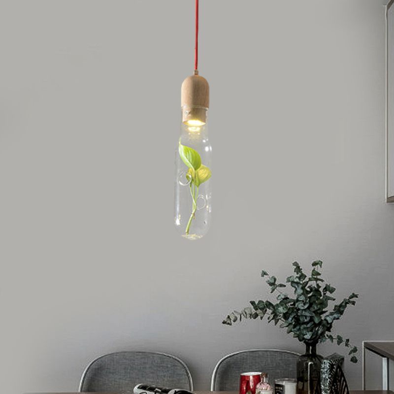 1-Head Ceiling Pendant Factory Bottle Clear Glass LED Pendulum Light with Inner Plant Deco