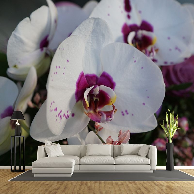 Orchid Flower Wall Covering for Sleeping Room Home Decor, Made to Measure