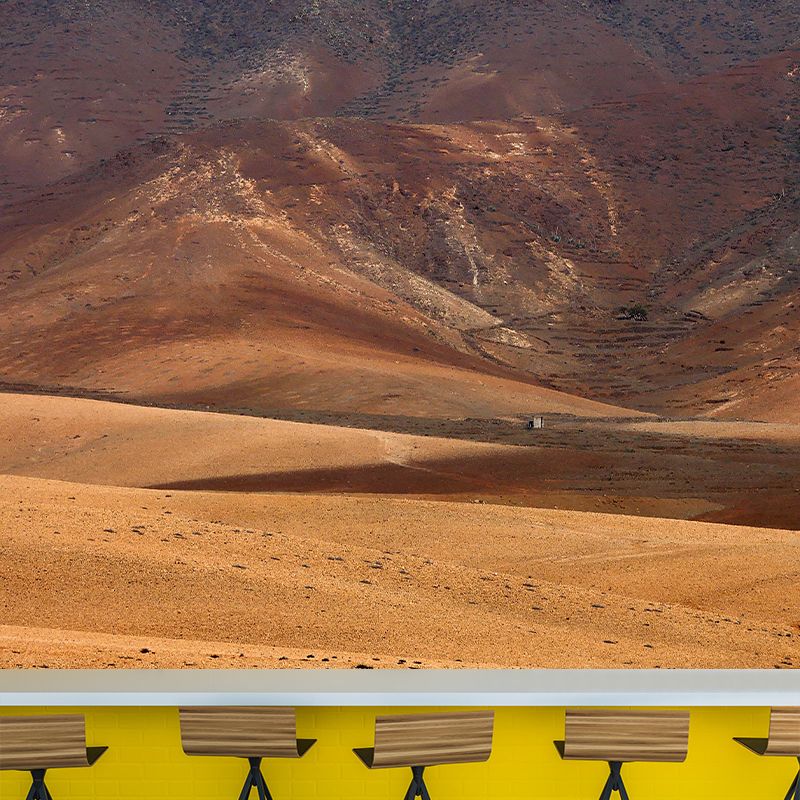 Stain Resistant Wallpaper Desert Photography Environmental Landscapes Wall Mural