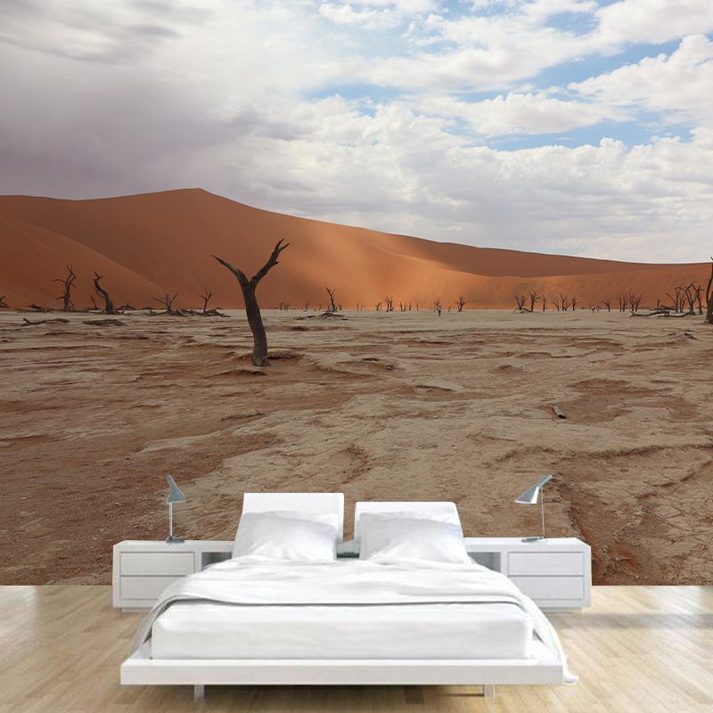 Contemporary Photography Style Desert Mural Wallpaper Mildew Resistant Wall Art