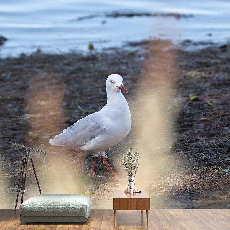 Photography Seagull Mural Wallpaper Environment Friendly for Living Room