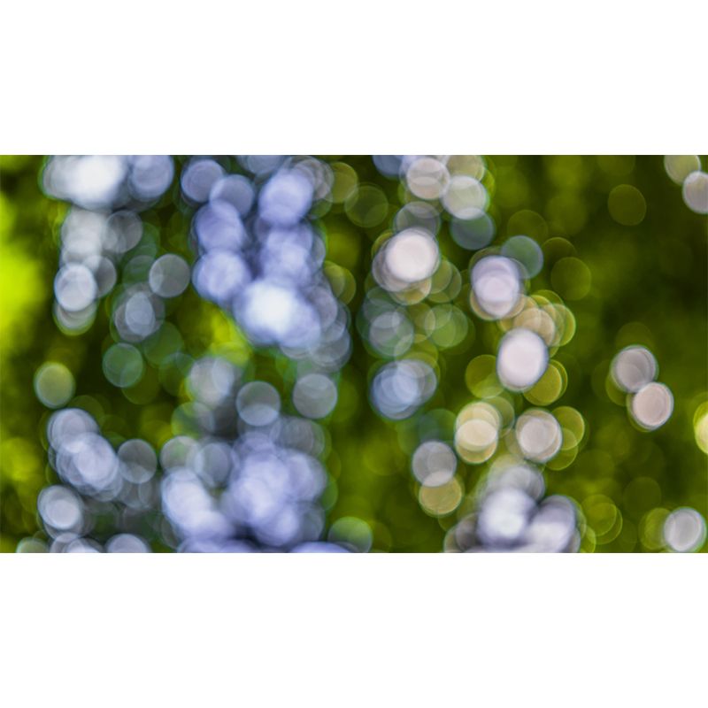 Contemporary Eco-friendly Bokeh Mural Wall Covering for Living Room Decor