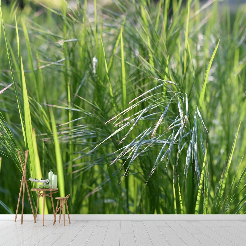 Grass Mural Modern Murals Wallpaper for Living Room Moisture Resistant, Custom Size Available