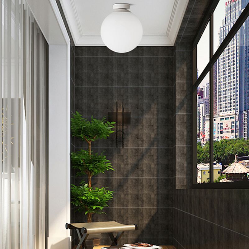 Modern Simple Spherical Shape Ceiling Lamp Iron 1 Light Ceiling Light for Corridor