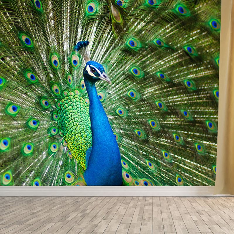 Large Peacock Mural Decal for Living Room Moisture Resistant, Made to Measure