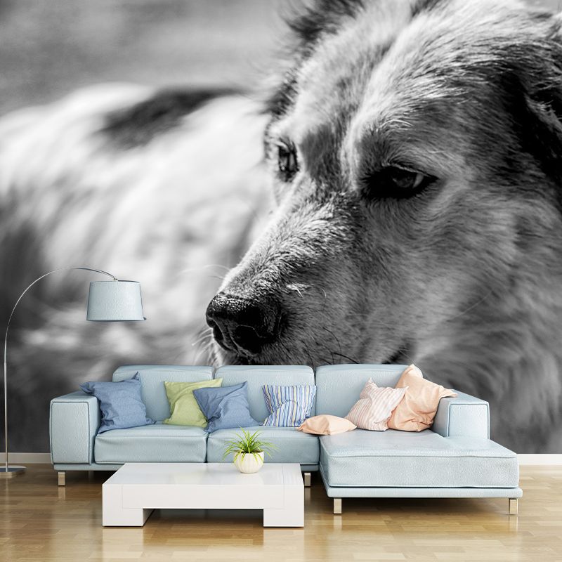 Naughty Puppy Mural Wallpaper Mildew Resistant Home Decor, Waterproofing