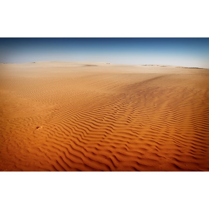 Desert Sand Waves Wall Mural Yellow Contemporary Wall Covering for Accent Wall, Made to Measure