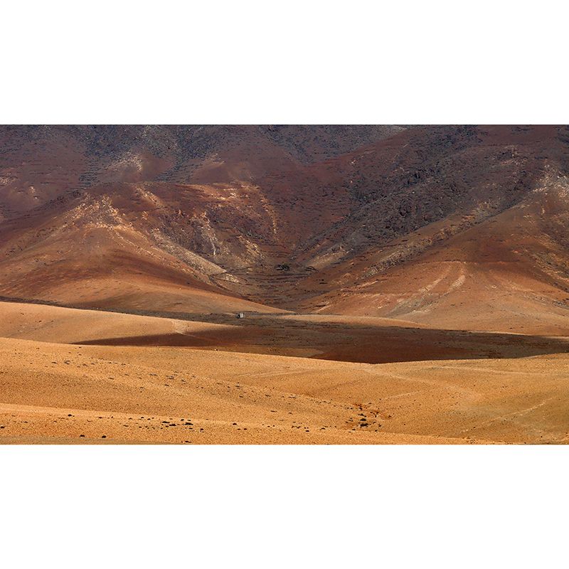 Stain Resistant Wallpaper Desert Photography Environmental Landscapes Wall Mural