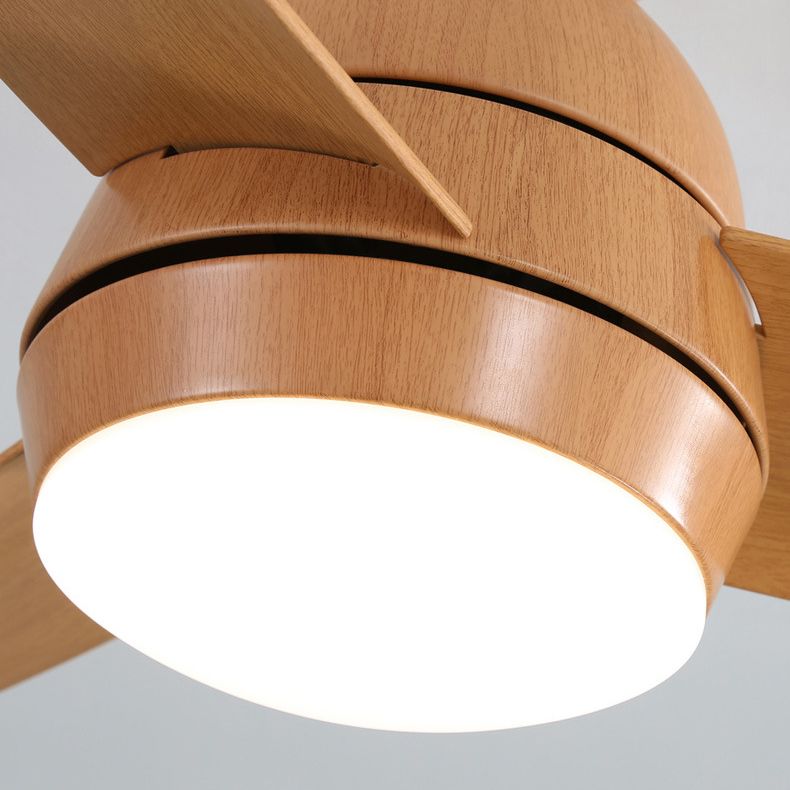 Metal Ceiling Fan Lighting Modern Style 1 Light Ceiling Fan Light for Living Room