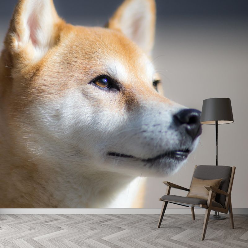 Shiba Inu Mural Environment Friendly Wallpaper Home Decoration for Bedroom