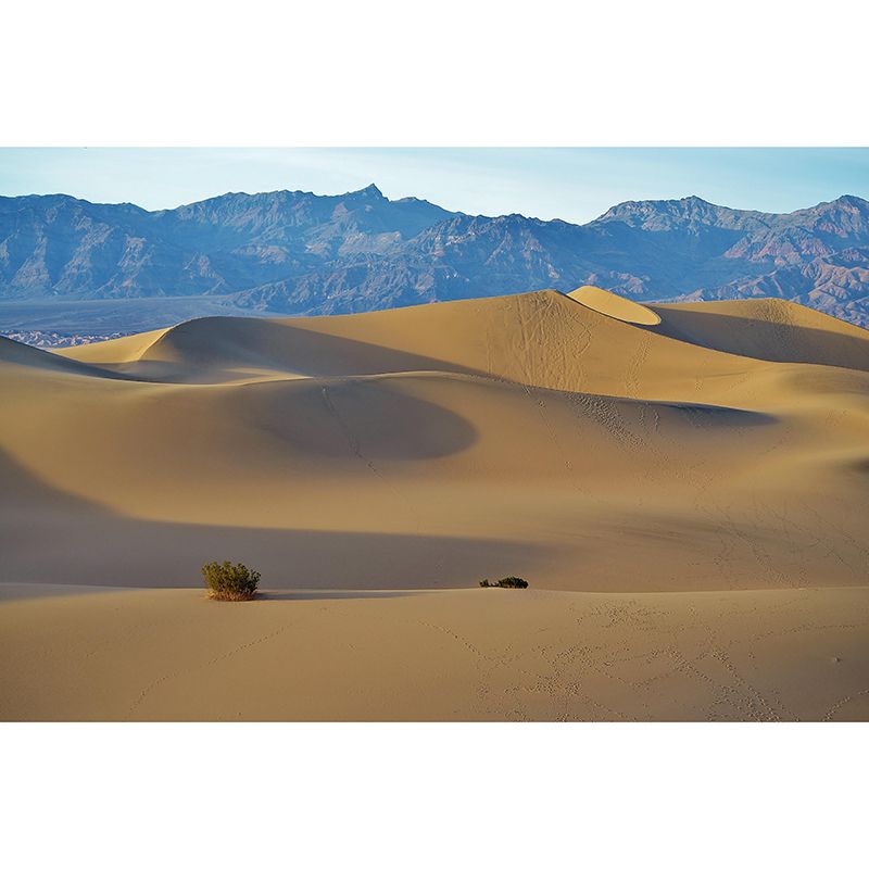 Landscapes Environmental Wall Mural Stain Resistant Desert Photography Wall Mural