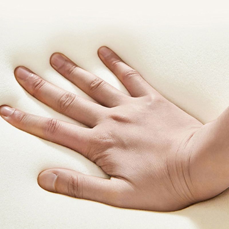 Contemporary Genuine Leather Upholstered Platform Bed White Bed Frame