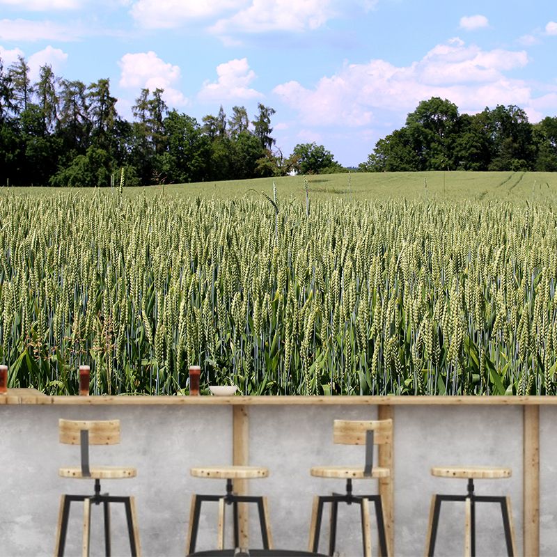 Photography Wheat Field Landscapes Mural Wall Decor Mildew Resistant for Decoration