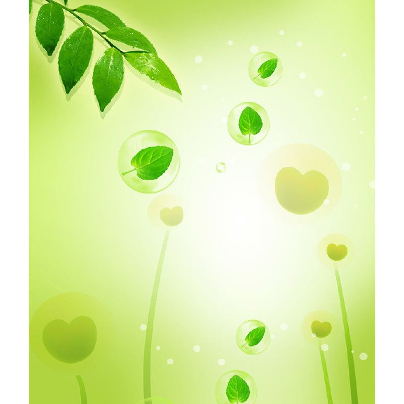 Soft Color Contemporary Mural Wallpaper Huge Botanical Wall Decor for Living Room