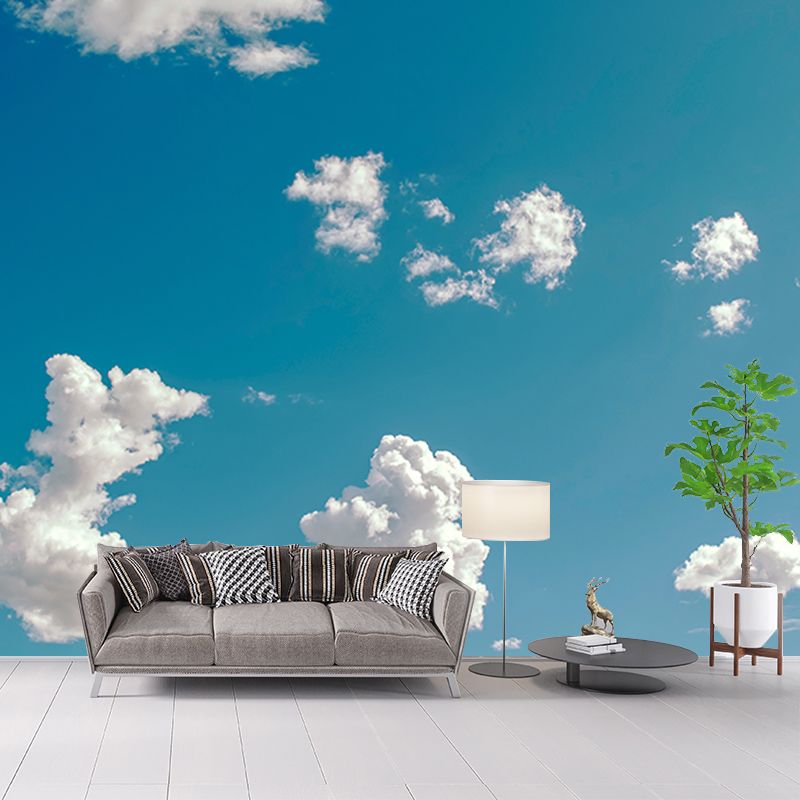 Photography Stain Resistant Mural Wallpaper Beautiful Sky Indoor Wall Mural